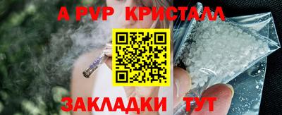 стафф Лесосибирск