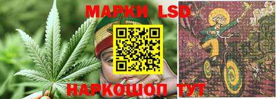 стафф Лесосибирск