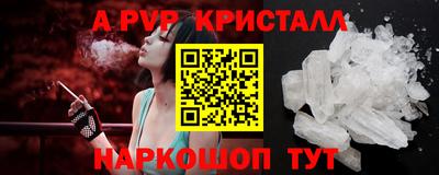 стафф Лесосибирск