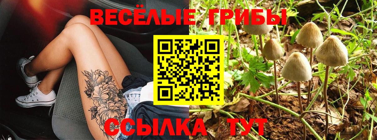 Калининград  Псилоцибиновые грибы ЛСД  Псилоцибиновые грибы Psilocybe  Вход с VPN 